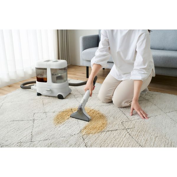 アイリスオーヤマ 大容量リンサークリーナー RNS-P1600 グレーホワイト