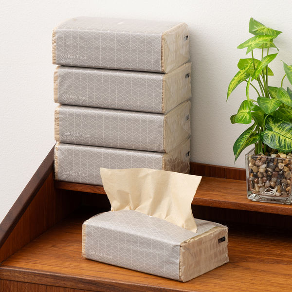 ティッシュペーパー ソフトパック 未晒し 1個（200組×5箱入）アスクル