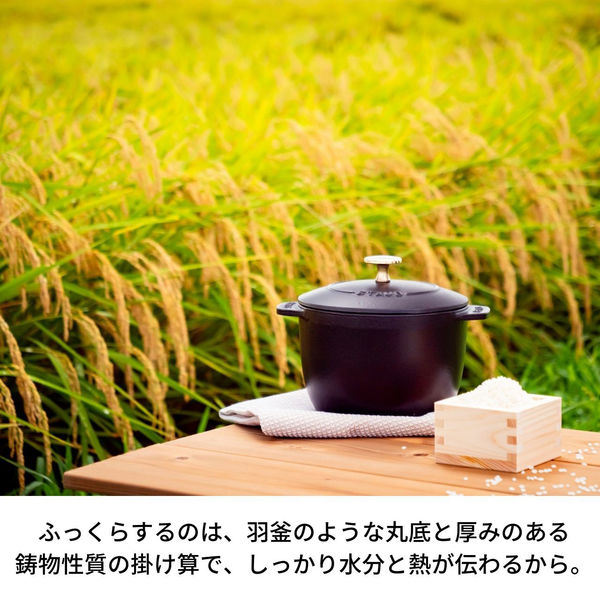 ストウブ （staub） ラ ココット de GOHAN M ブラック 16cm ご飯鍋