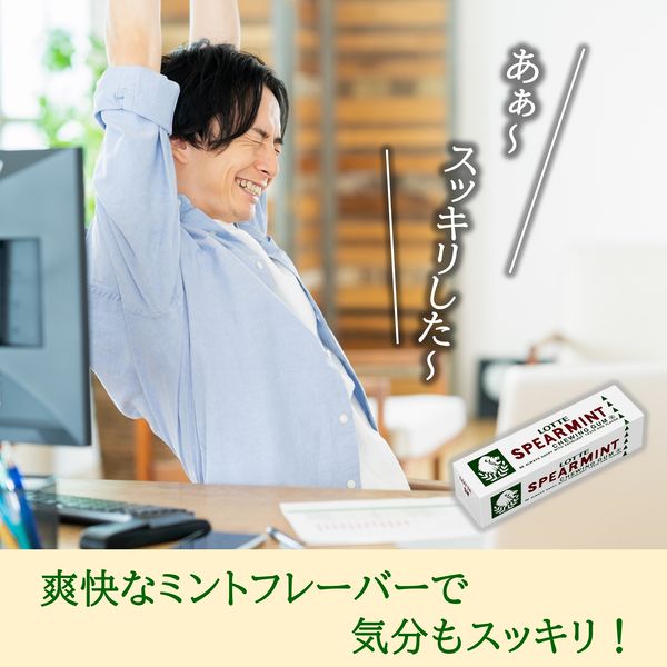 ロッテ スペアミントガム 9枚入 1セット（1個×15） 板ガム 個包装