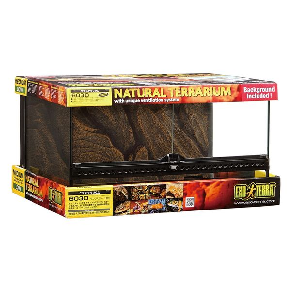 ジェックス GEX エキゾテラ グラステラリウム 6030 179482 1個（直送品