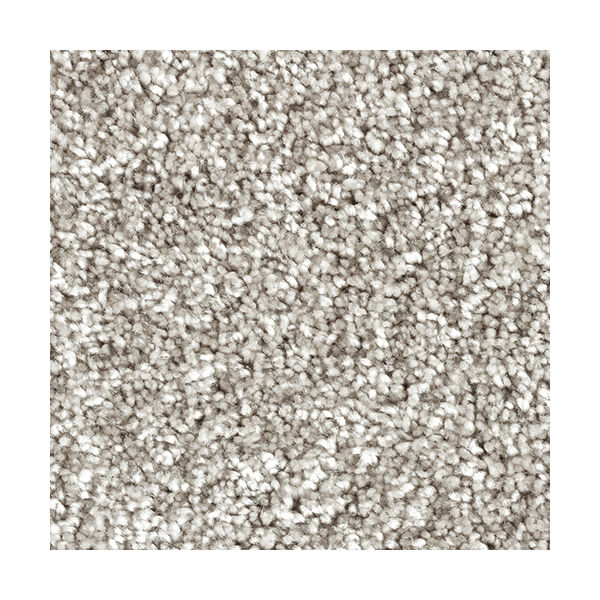 プレーベル ラグ ジェイド シルバー 190×240cm 2201-124-03 1枚（直送