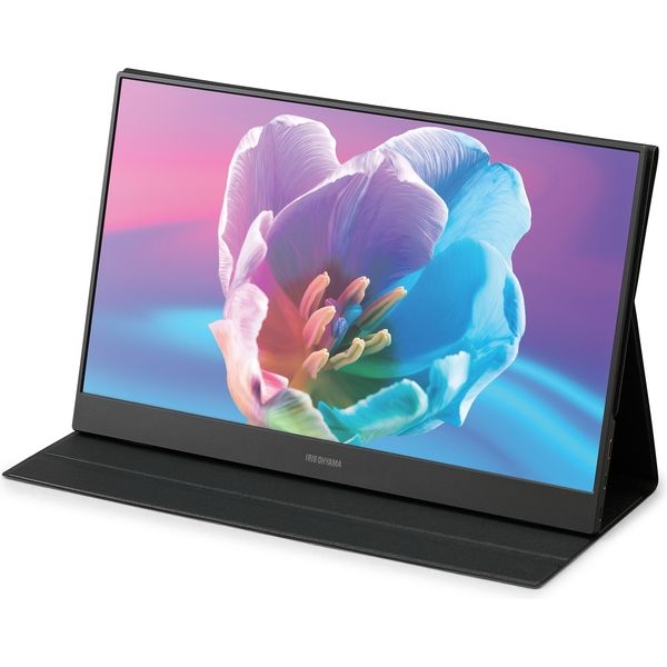 アイリスオーヤマ ポータブルモニター ILD-A16262KS-B 1台（直送品