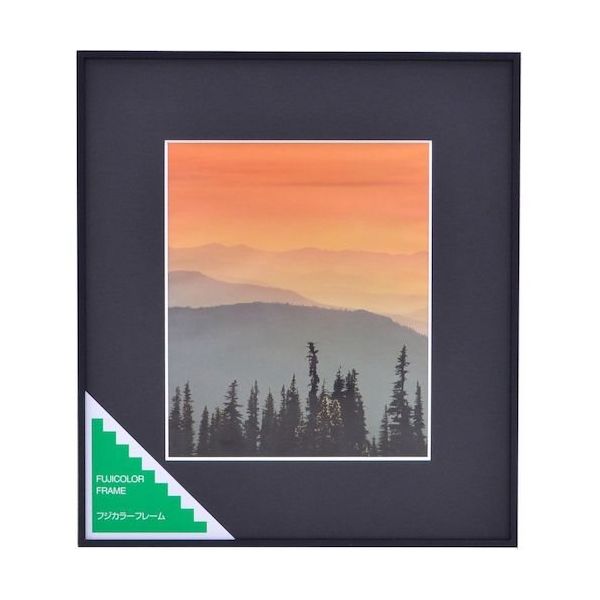富士フイルム フジカラー アルミ額縁 A300 4切 4 1枚 563-0254（直送品