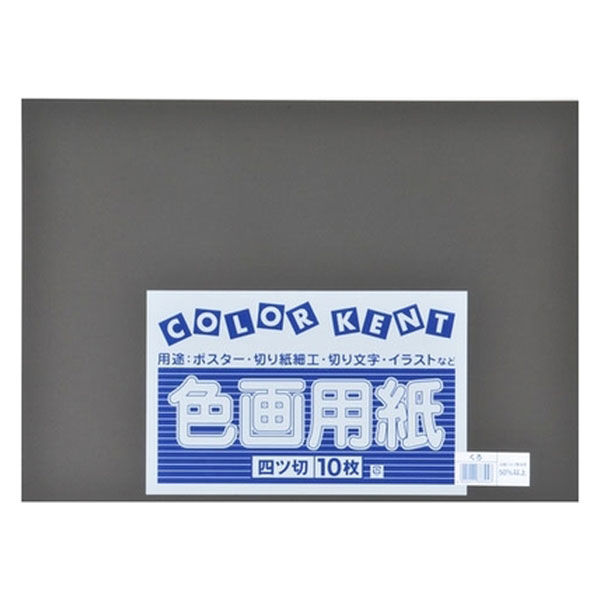 REVERIE 300×5 観賞 画用紙 大王製紙 再生色画用紙 4ツ切 100枚