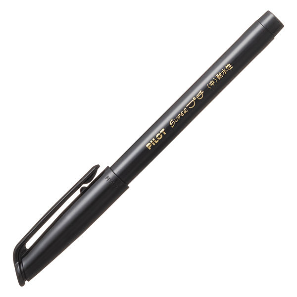 パイロット サインペン スーパープチ中字 ブラック SEG-10M-B 1箱（10