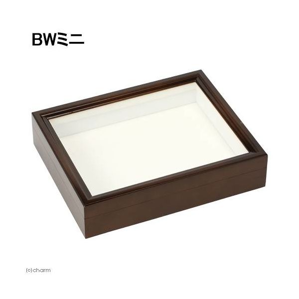 バードウィング バードウィング製 ドイツ型標本箱 BWミニ