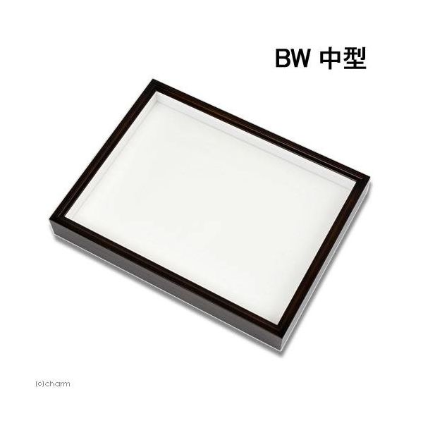 バードウィング バードウィング製 ドイツ型標本箱 BW中型 (幅42.5×奥行