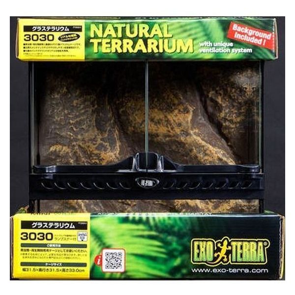 ジェックス エキゾテラ グラステラリウム 3030 爬虫類 飼育
