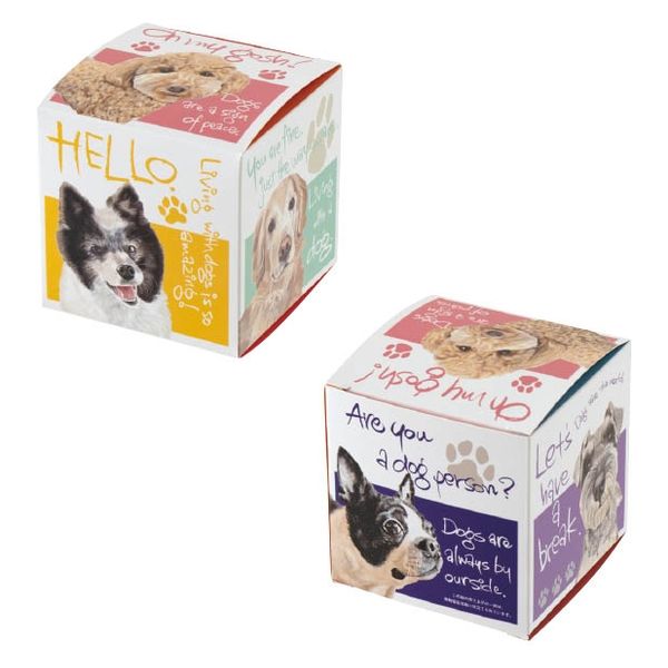 ヘッズ チャリティーアニマルアソートギフトボックス-S/犬(20枚) CHRA