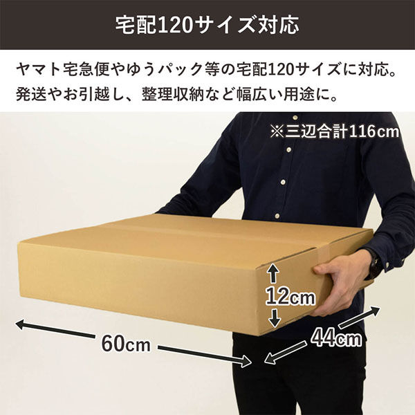 シモジマ 120サイズダンボール 60×44×12cm 4571689032164 1セット（10