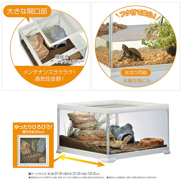 ジェックス GEX レプテリア ホワイト 300キューブ Low 234242 1個