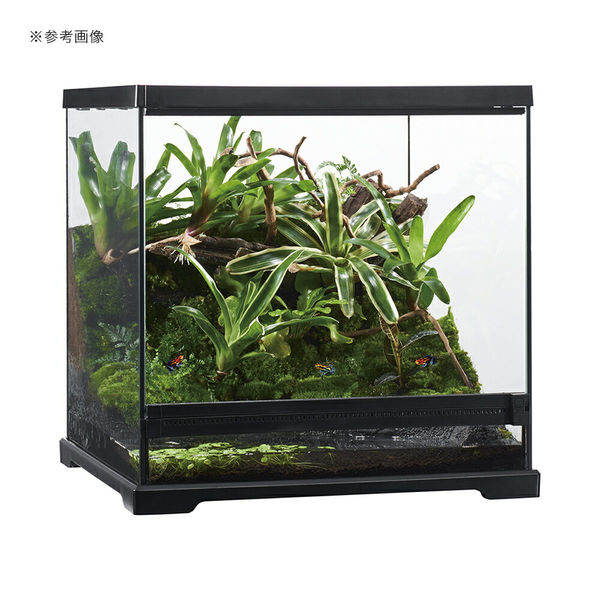 埼玉県】GEX グラステラリウム6045【引き取り限定】 グラステラリウム