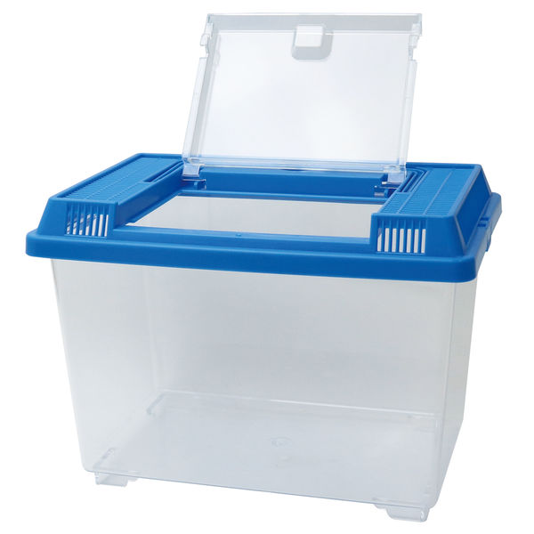 池田工業社 飼育ケース 飼育王国 小 2色アソート 日本製 1620 1個