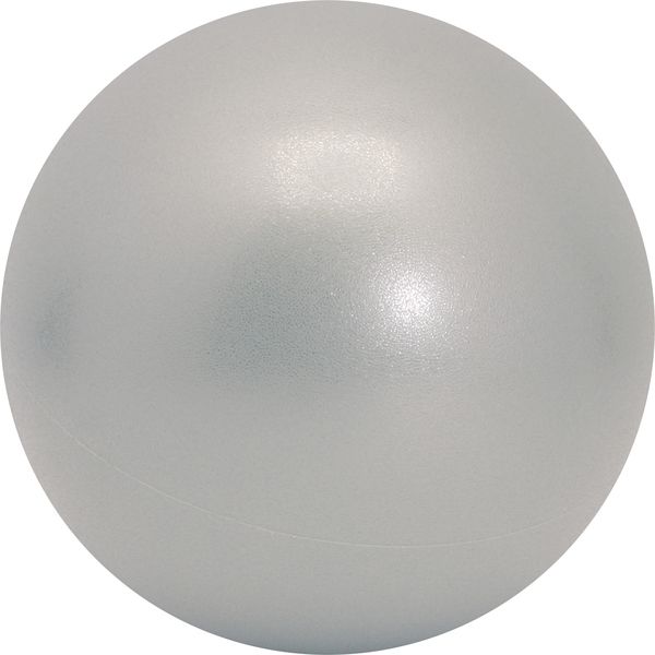 池田工業社 ソフトエクササイズボール 58010 1セット(2個)（直送品