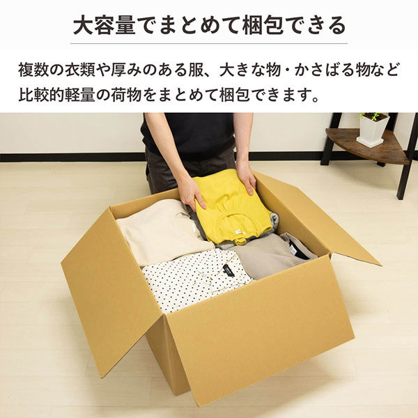 シモジマ 160サイズダンボール 55×55×40cm 4571689032287 1セット（2枚