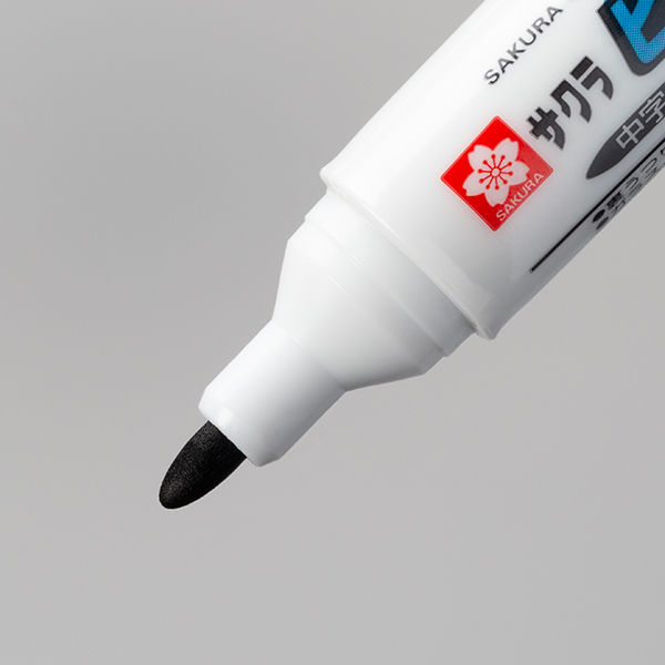 サクラクレパス ピグマックスツイン くろ ZPK-T#49 10個 - アスクル