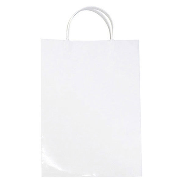 紙手提げ袋】 エヒメ紙工 ラミネートバッグA4 白 PPA4-WH 10個 - アスクル
