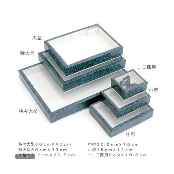 志賀昆虫普及社 志賀昆虫 標本作成セット(1~2匹用標本箱付き) 66893 1