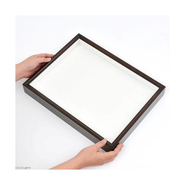 バードウィング バードウィング製 ドイツ型標本箱 BW中型 (幅42.5×奥行