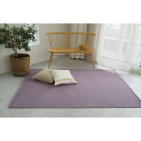 スミノエ コンシェルジュ WOOL REX 防炎 ラグ ウールレックス WR19