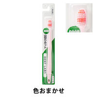 デントラボ 山切りハブラシ ふつう 540258 1本 UFCサプライ - アスクル