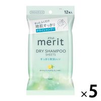 白十字 サルバ ドライシャンプー 水のいらないシャンプー 医療 介護 清