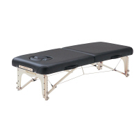 大信工業 折りたたみ診察台 500×1800×500mm DF-C 1台 0-5209-01（直送