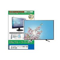 ダイアモンドヘッド 10.1インチポータブルテレビOT-3PT101AK 1台（直送