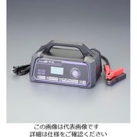 セルスター工業 CELLSTAR バッテリー充電器 DP-2500 1台 223-8742