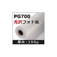 アスクル ロール紙 大判用紙 光沢紙（厚口） 24インチ 610mm×20m 1箱