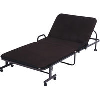 アイリスオーヤマ ベッド 折畳みベッド コンパクト 14段階