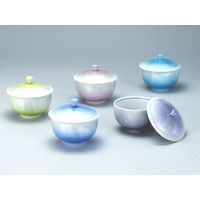 伊野正峰 九谷焼 蓋付汲出揃 5色銀彩（直送品） - アスクル