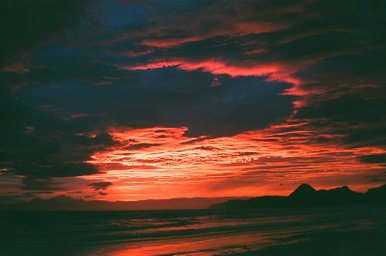 カメラ: Ricoh Hi-Color 35 · Lomography