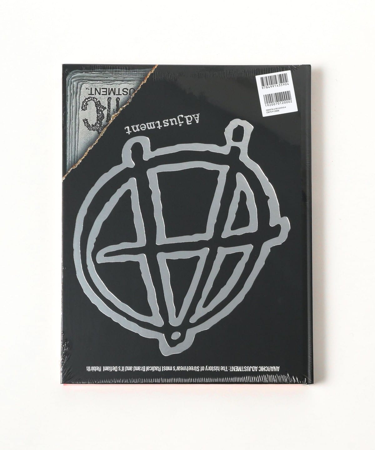 BEAMS T（ビームスT）insane × ANARCHIC ADJUSTMENT / ART BOOK（音楽