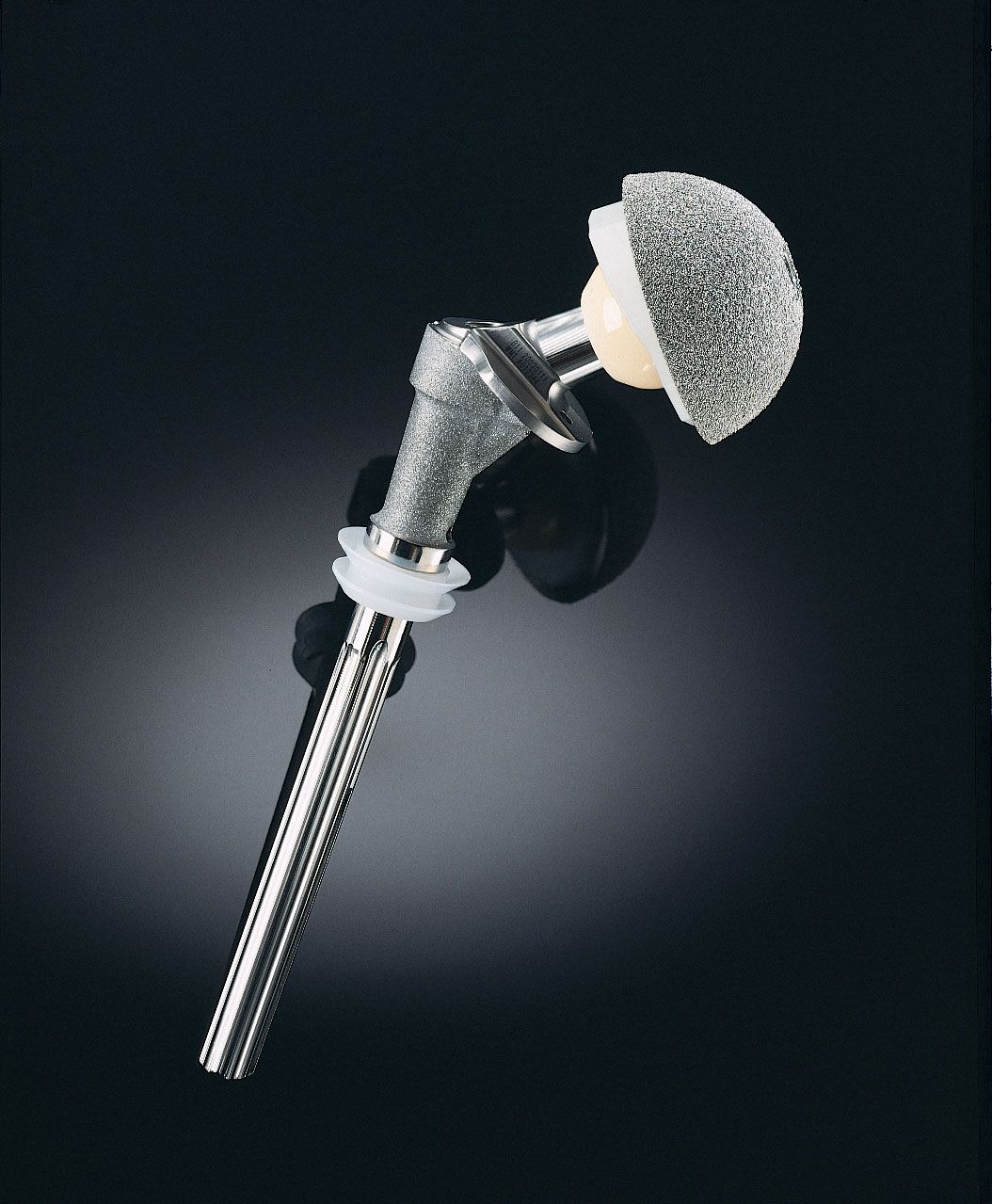 健康・医学 BIOCERAM POROUS IMPLANT The use of porous alumina