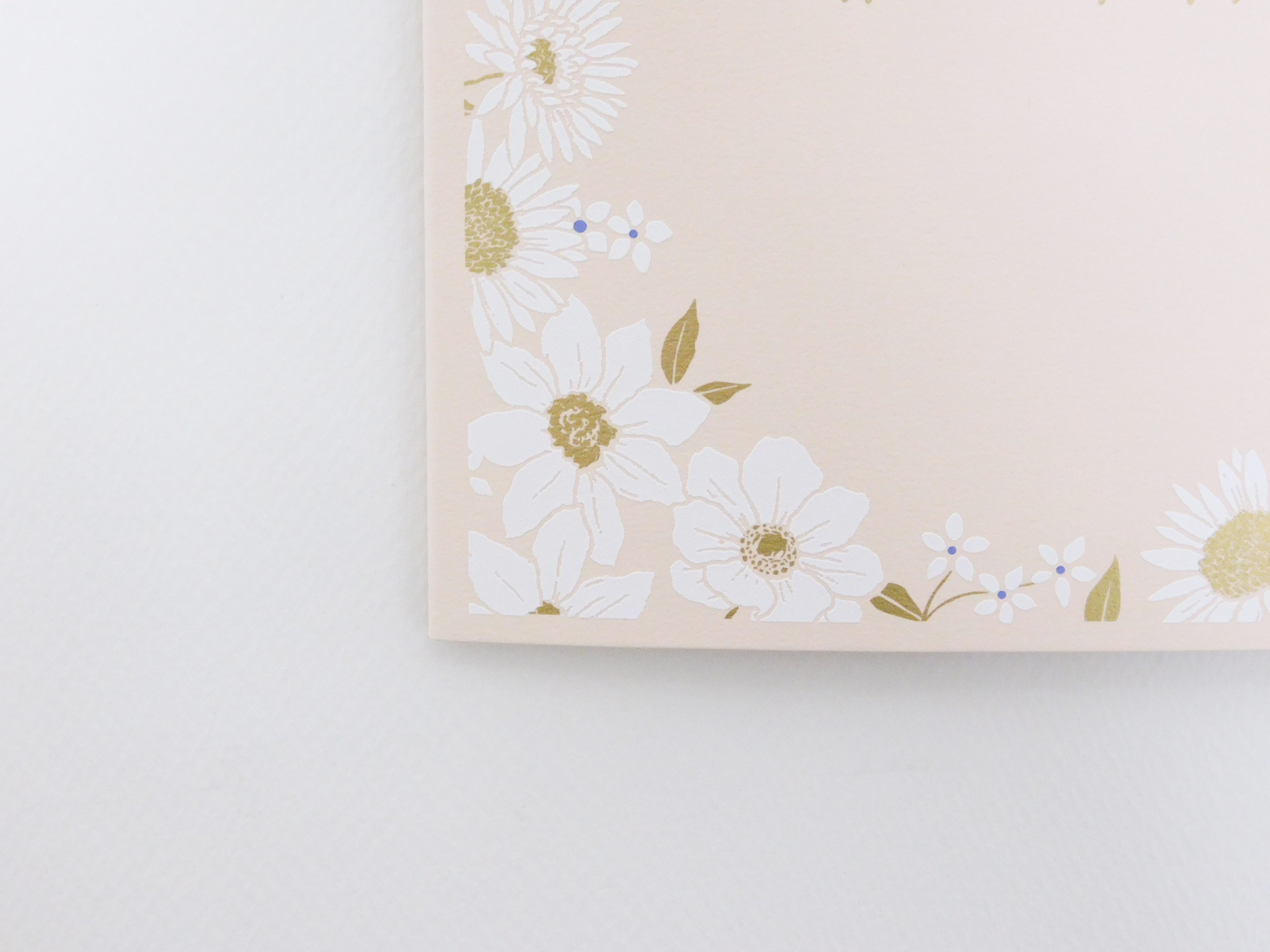 ✽ 色紙 新商品 発売 ✽ - Z&K