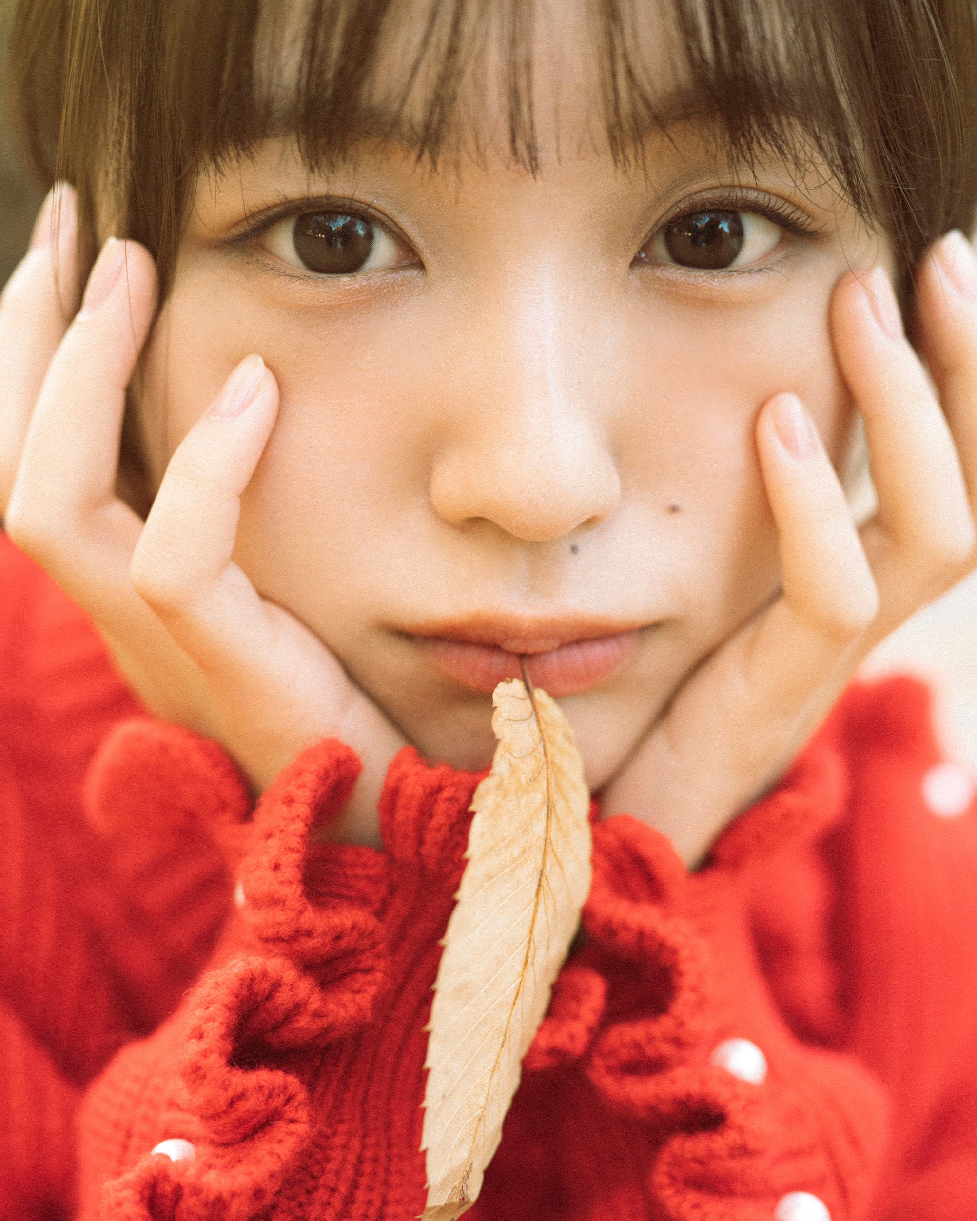 東京路地裏散歩 meets seju | see you gallery