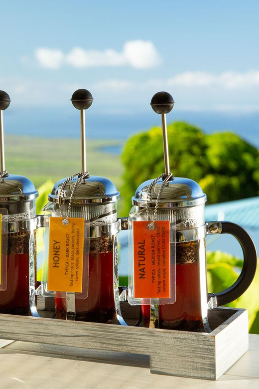 HARAHELLS 3年後のパイナップル 45rpm もう呑まんぞツラい HARAHELLS 3