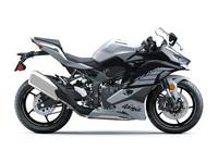 2025 Kawasaki NINJA® ZX™-4RR ABS | Toms River Marine and Motorsports