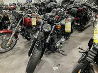 2018 Harley-Davidson® XL1200X - Sportster® Forty-Eight® | Cernic's