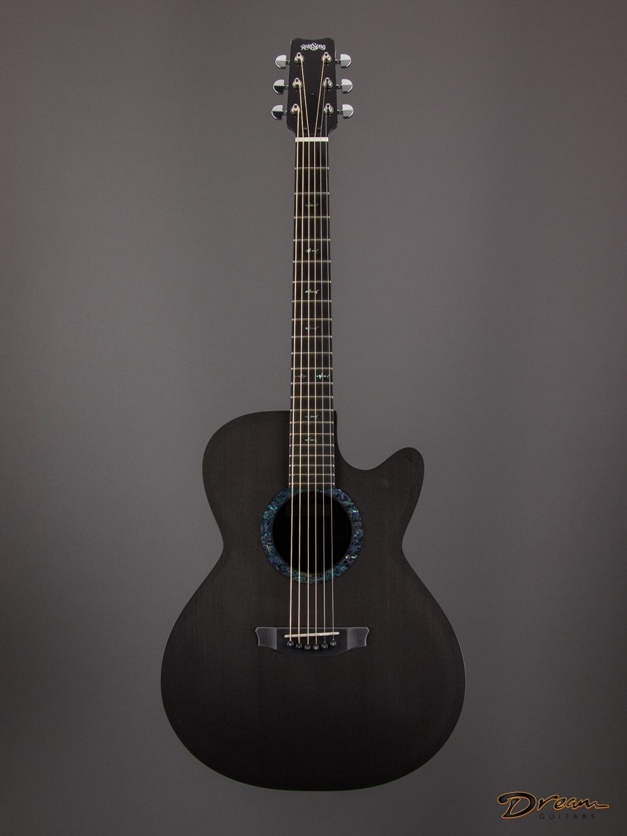 Brand New Rainsong CO-WS1000N2, Carbon Fiber/Carbon Fiber - Dream