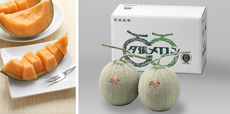 40名さま限定】抽選で夕張メロンプレゼント！ - ほくでん エネモール