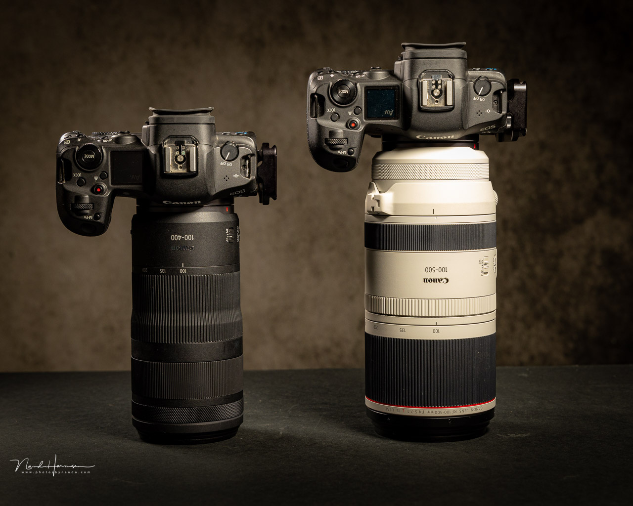 We Review the Canon RF 100-400mm f/5.6-8 IS USM, an Affordable