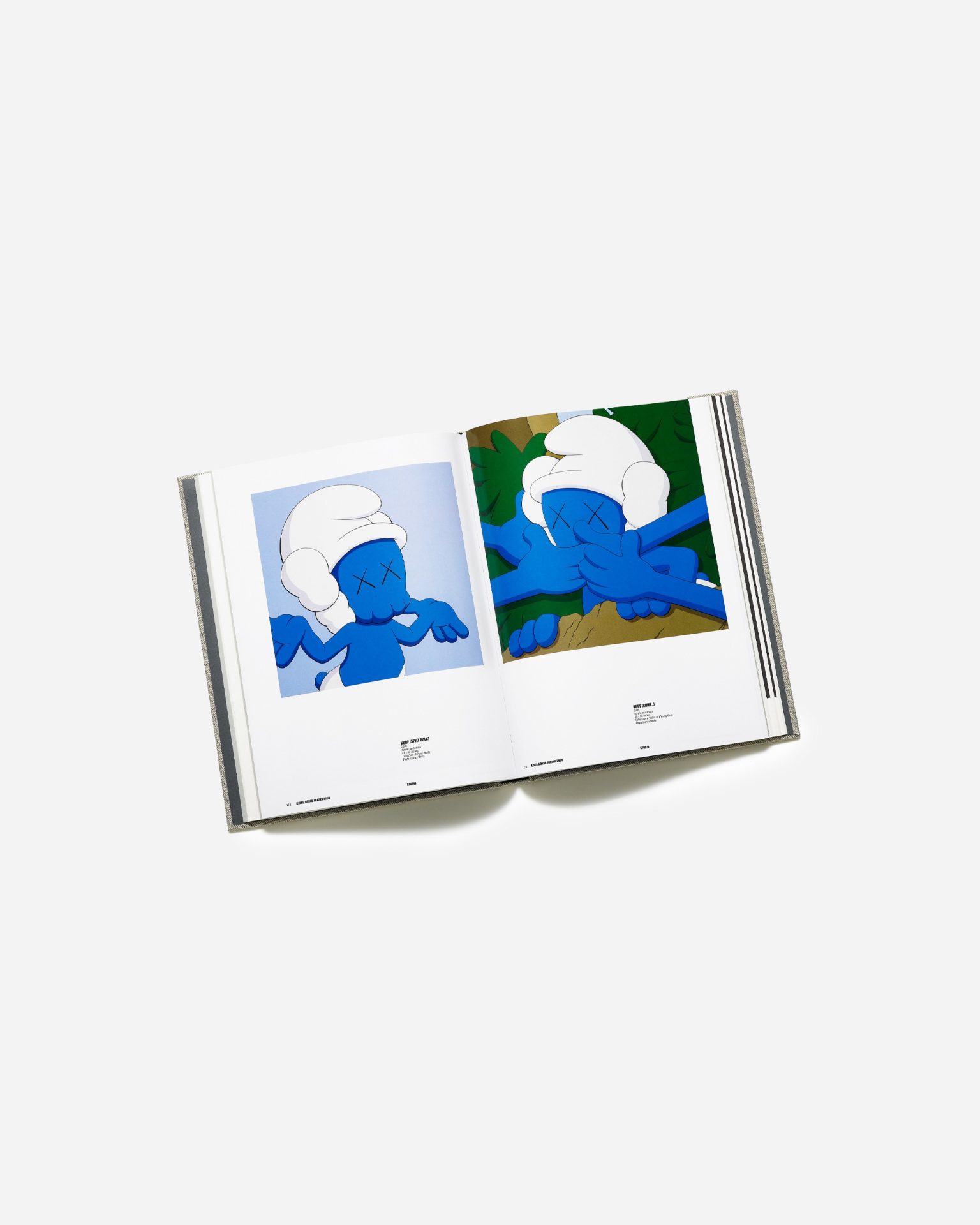 KAWS | Coffee Table Book