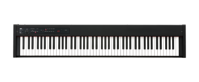 D1 - DIGITAL PIANO | KORG (USA)