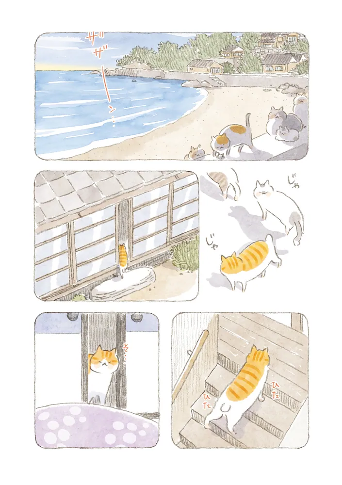 ねことじいちゃん（11）」ねこまき(ミューズワーク) [コミック