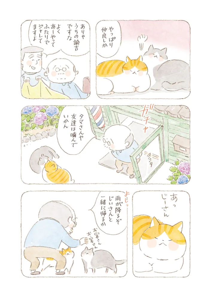 ねことじいちゃん（11）」ねこまき(ミューズワーク) [コミック