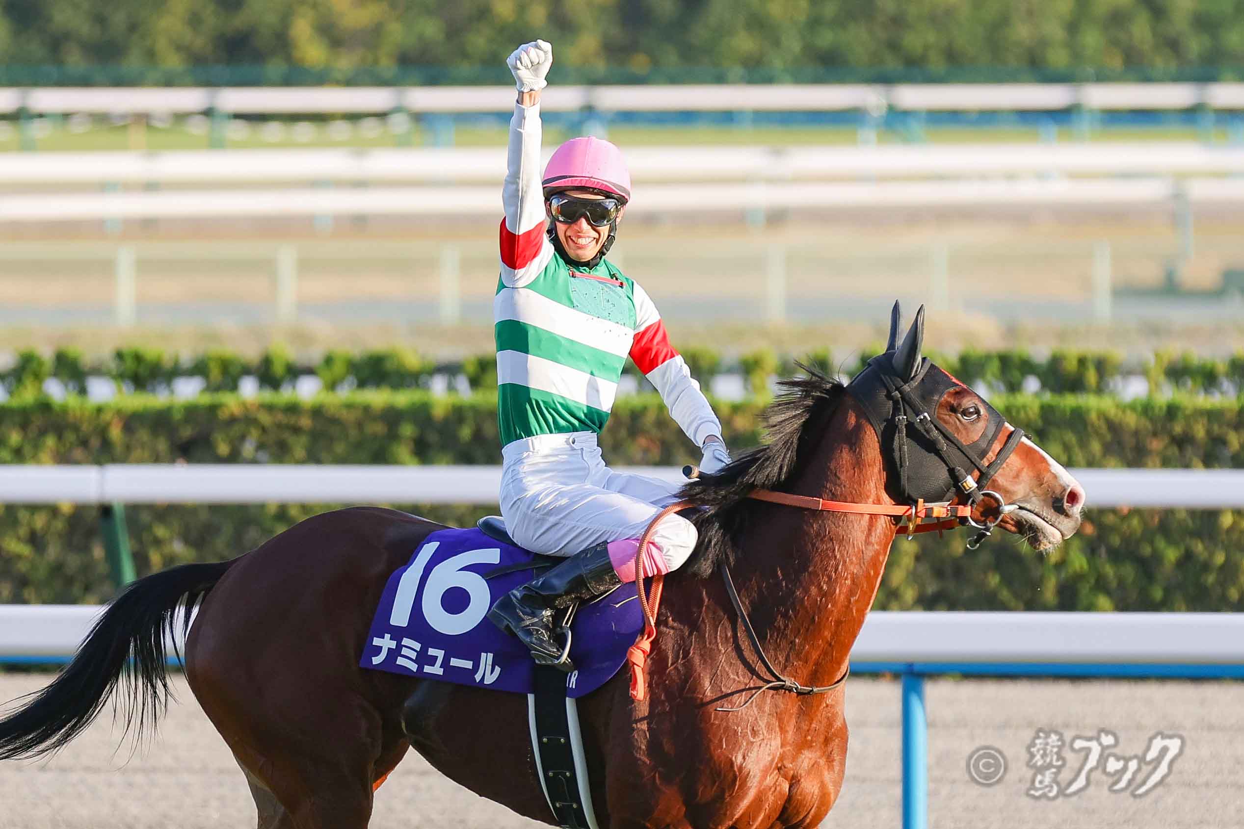 藤岡康太騎手が逝去 | ニュース | 競馬ブック