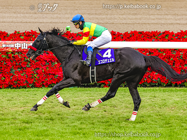 カランダガン完勝、ジャパンC参戦へ | ニュース | 競馬ブック